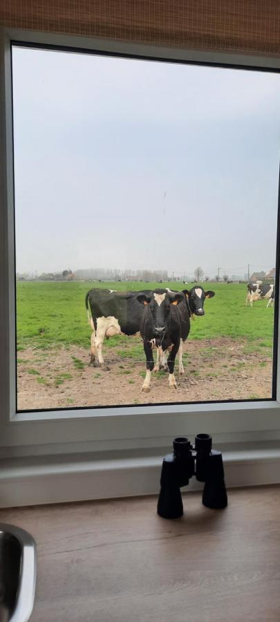 Villa La Vache Au Lit Damme Exterior foto